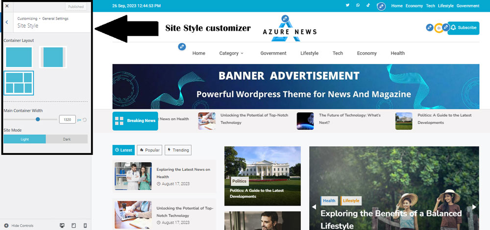 Site Style Customizer