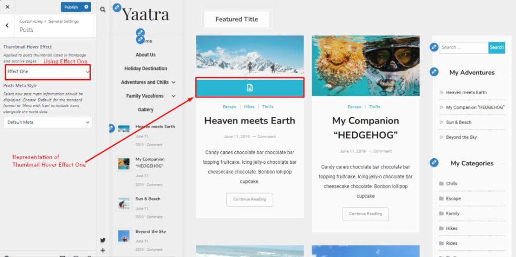 Yaatra Pro Post Edit Options